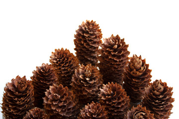 Pine cones collection abstract background