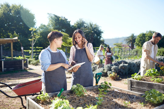 Workers with digital tablet in garden