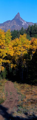 Aspens and Bear Tooth at Pilot Mountain, Wyoming