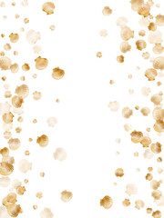 Gold seashells isolated, pearl bivalved mollusks