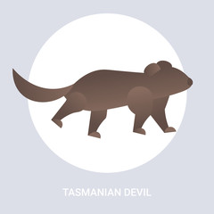 tasmanian devil icon cartoon endangered wild australian animal symbol wildlife species fauna concept flat vector illustration