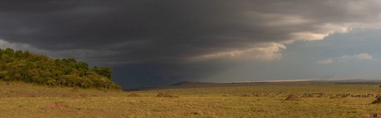 Approaching storm panorama