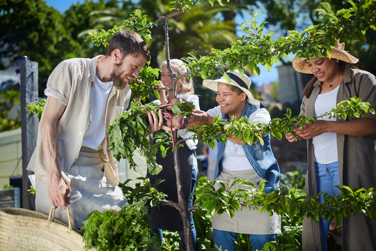 Workers training vines in garden