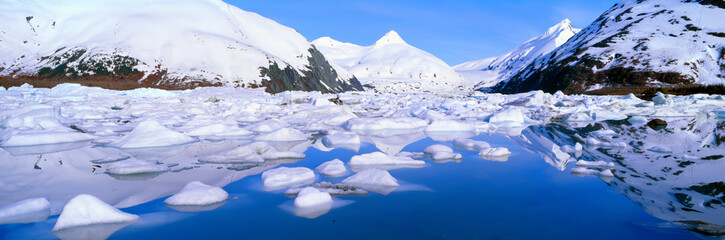 Fototapeta na wymiar Icebergs in Portage Lake and Portage Glacier, Alaska