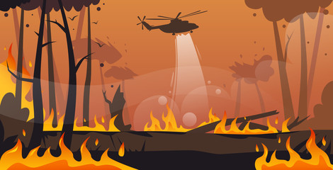 helicopter extinguishes dangerous wildfire in australia fighting bushfire dry woods burning trees firefighting natural disaster concept intense orange flames horizontal vector illustration © mast3r
