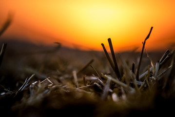 Hay Sunset