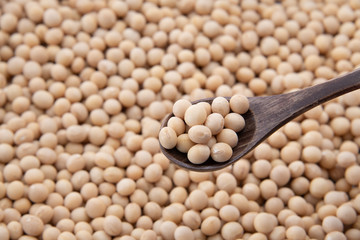 Soy bean as food background