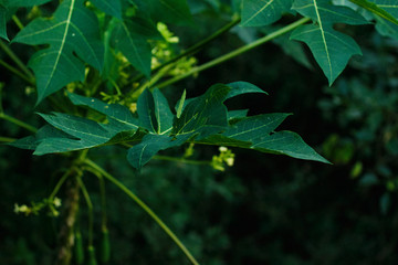 treze de janeiro de dois mil e vinte