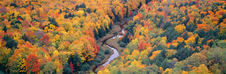 Autumn color at Porcupine State Park, Michigan's Upper Peninsula, Michigan
