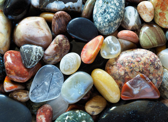 Closeup Focus Stacked Image of Tumbled Rocks to Include Agates and Petrified Wood - 315224112