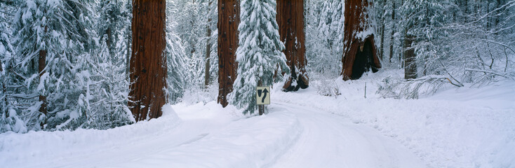 Winter Road into Sequoia National Park, California