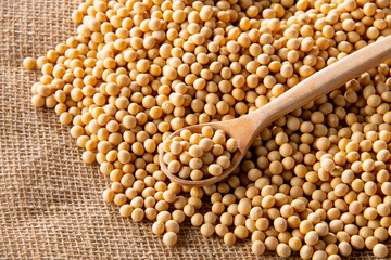 Soy bean as food background