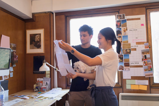 Creative designers with dog reviewing photograph proofs in office