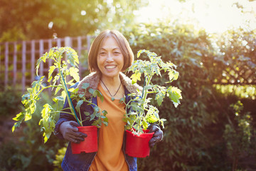 Portrait smiling, confident active senior woman gardening