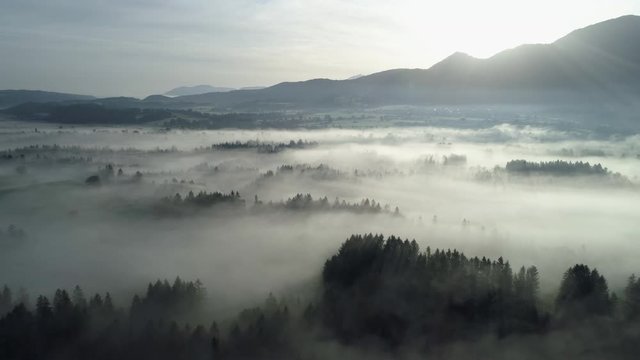 Aerial view of landscape with fog in the morning, Murnauer Moos
