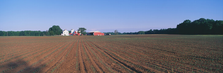 Planted Spring Field and Farm, Maryland