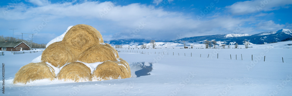 Wall mural haystacks and snow, moose-wilson road, jackson, wyoming