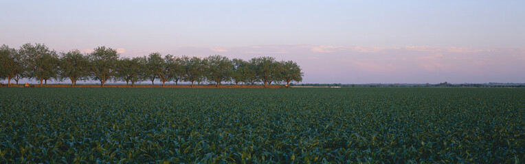 Farm Fields outside of San Antonio, Texas © spiritofamerica