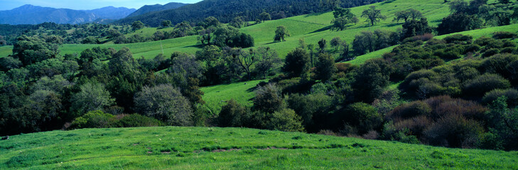 Fototapeta na wymiar Sierra de Salinas Mountains, Carmel Valley, California