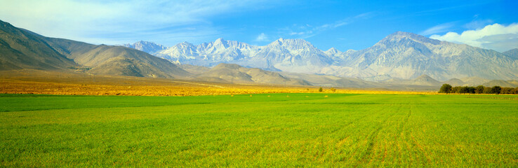 Fototapeta premium Autumn color along Highway 395, Sierra Nevada, California