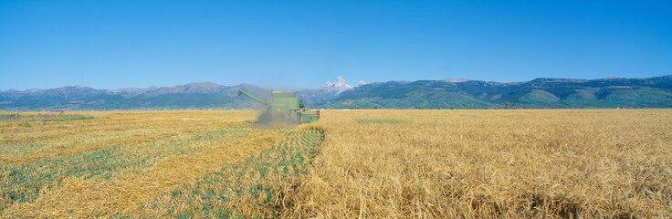 Grain harvest, Grant Teton Mountains, Idaho