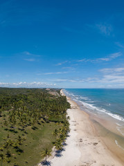 Aerial drone view of tropical beach with coconut palms in Ilhéu