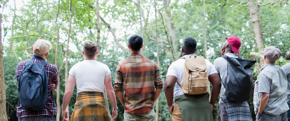 Mens group hiking, standing in a row and bird watching in woods