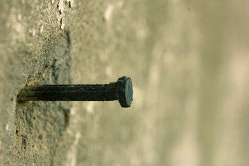 Old concrete nails on the cement wall.