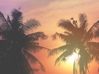 Fototapeta na wymiar Silhouette coconut leaves tree at sunset dramatic sky.