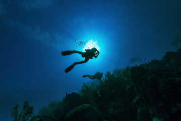 Two SCUBA divers silhouetted as they swimming along a reef