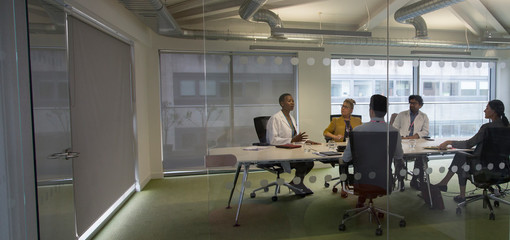 Doctors and administrators talking in conference room meeting