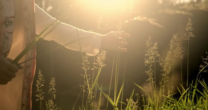 5 years girl gathers grass spikelets at sumset. Slow motion. 4k footage