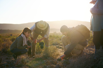Safari tour group examining plants in sunny grassland South Africa
