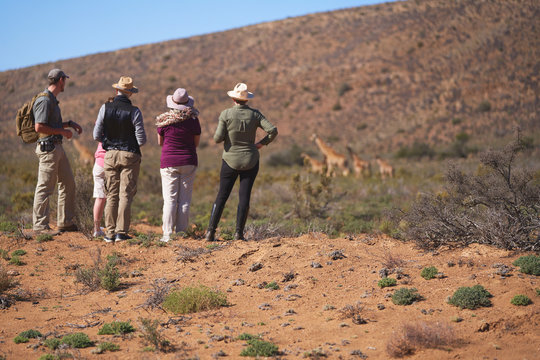 Safari tour group watching giraffes in distance South Africa