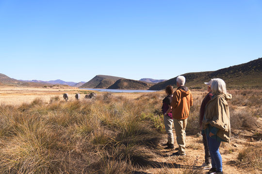 Senior friends on safari watching zebras in distance South Africa 