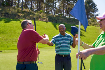 Male golfers shaking hands at pin on sunny golf course