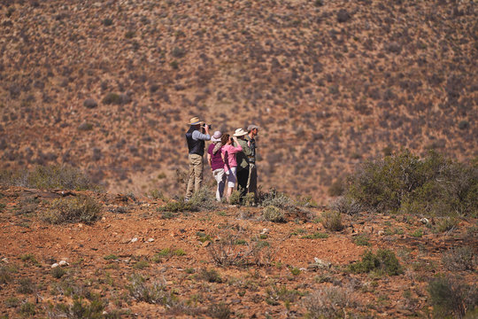 Safari tour group in sunny grassland landscape South Africa