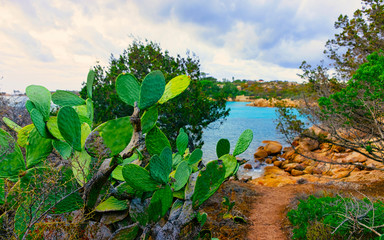 Landscape with Romantic morning at Capriccioli Beach in of the Mediterranean sea on Sardinia island...