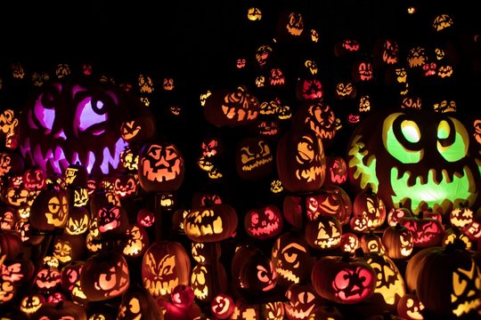 Jack O'lantern Trail At The Minnesota State Zoo