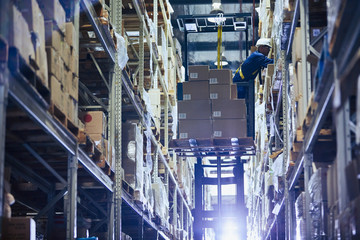 Worker operating forklift stacking cardboard boxes on distribution warehouse shelves