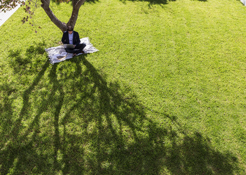 Businessman working, using laptop on blanket below tree in sunny yard