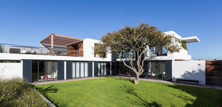 Sunny modern luxury home showcase exterior with yard and tree