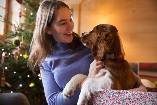 Teenage girl petting dog in Christmas gift box