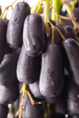 Sweet Sapphire Grapes grown in California are a new exciting variety that is crisp and has an unusual long shape like a finger.