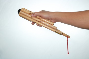 hand with Bamboo isolated on white