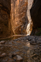 The Sun Lights The Back Wall