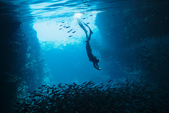 Young woman snorkeling underwater among schools of fish, Vava'u, Tonga, Pacific Ocean