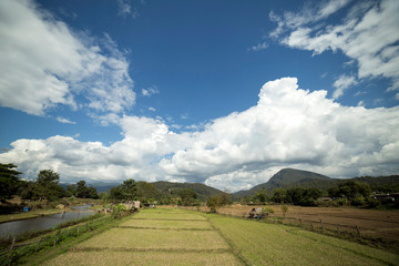 landscape with green field and blue sky
