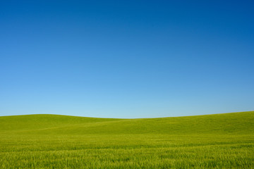 Thick Grasses Grow on Smooth Hills