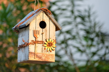 A bird house decorated in a garden makes our backyard beautiful. And there are birds creating a fresh atmosphere in the backyard.